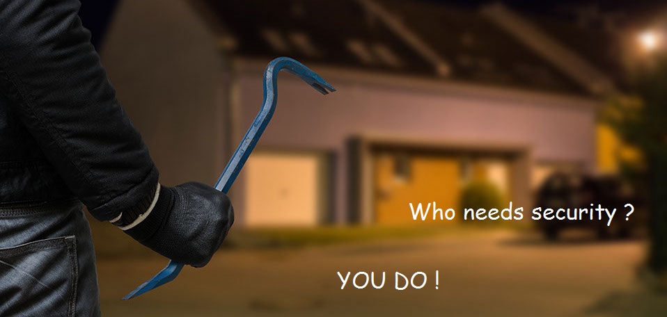 burglar